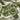 Green Jade Beaded Wristlet Keychain